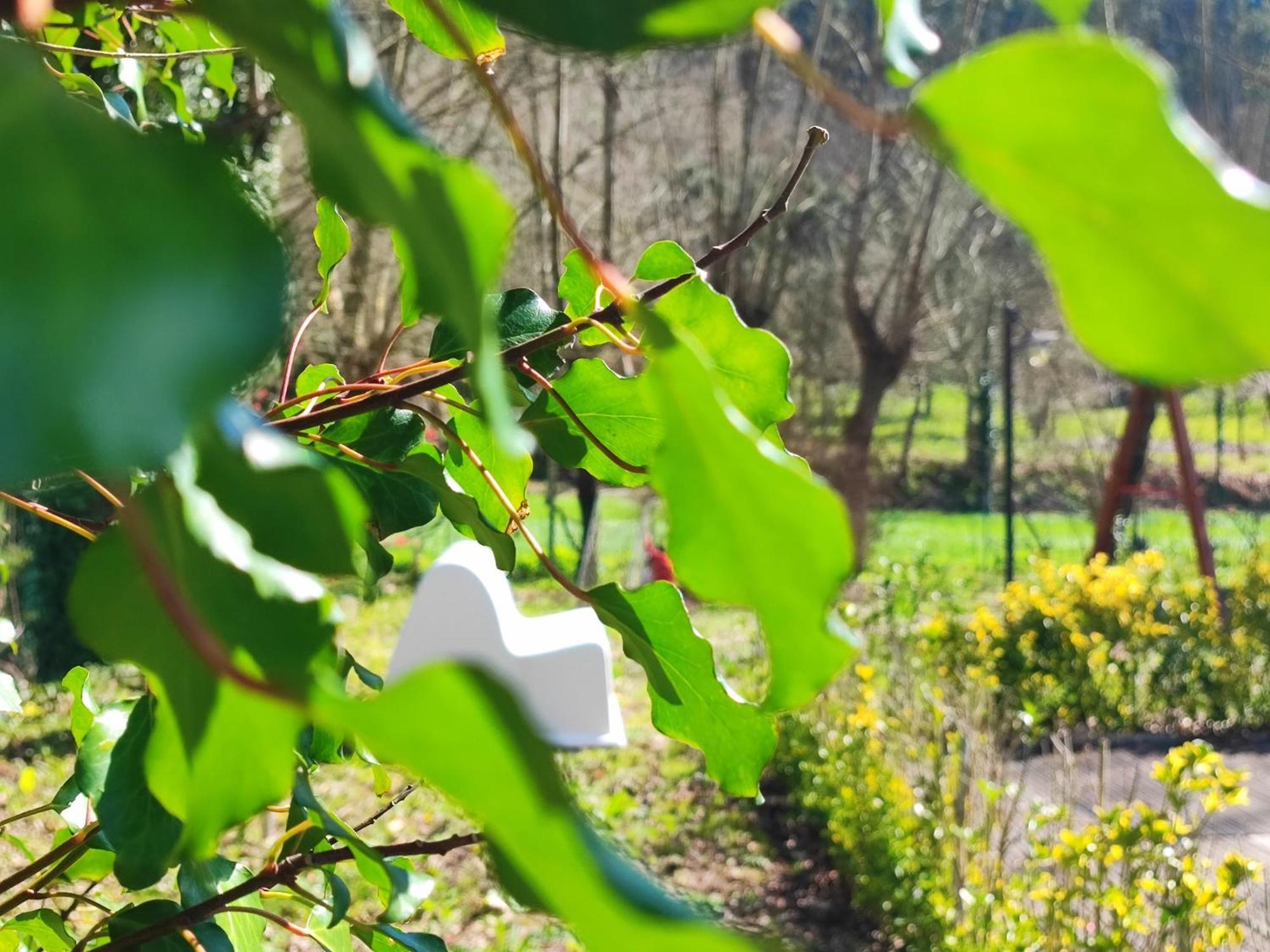 Agroturismo Quinta De Travancela Amarante Kültér fotó